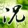  capripoker99 ◇　　◇◇◇　Dalam upacara kenaikan pangkat yokozuna, dia menuliskan kata 